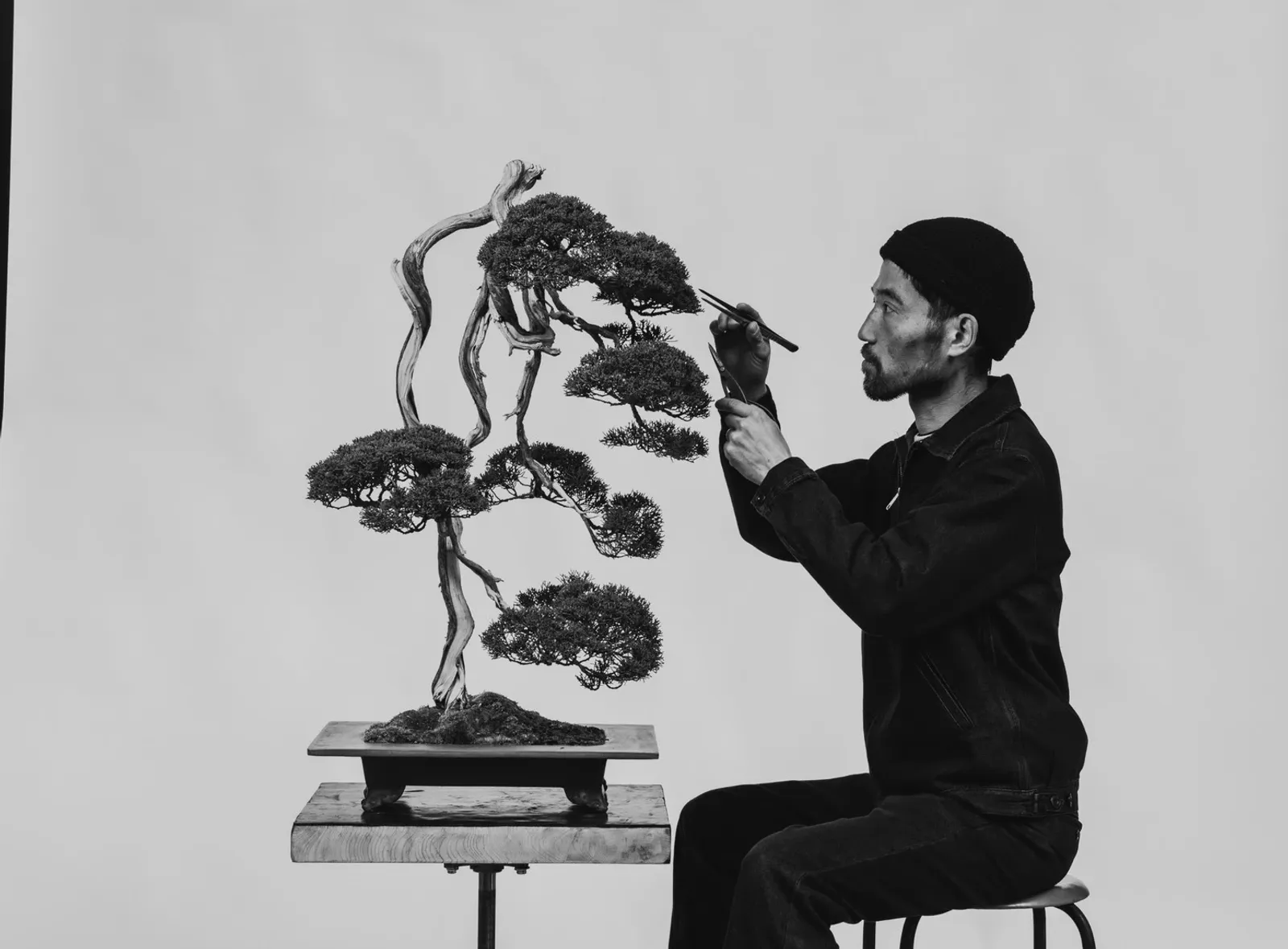 盆栽縁人 - トップページ